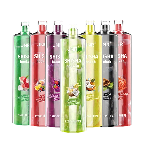 JNR Shisha Hookah 12000 (Doos van 10)